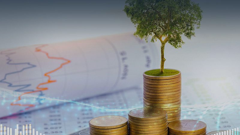 连锁管理咨询定价的底层逻辑与行业真相